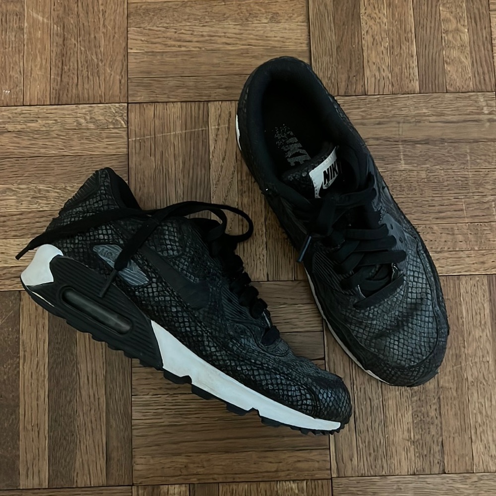 Nike Air Max